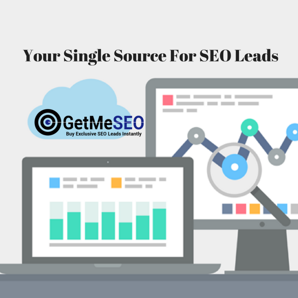 exclusive seo leads