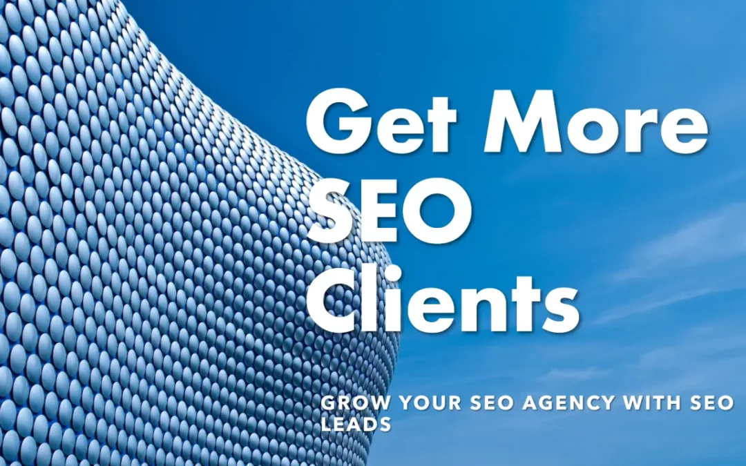 Get More SEO Clients and Grow Your SEO Agency With SEO Leads